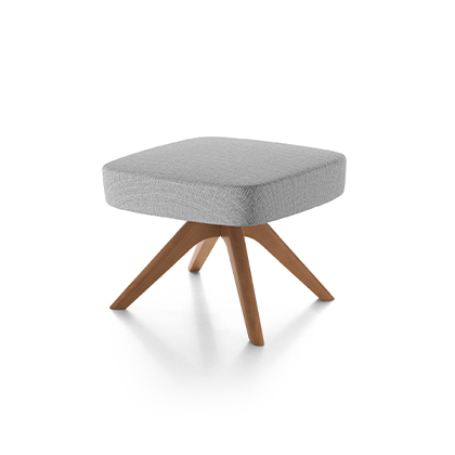 Pouf RSS/LION