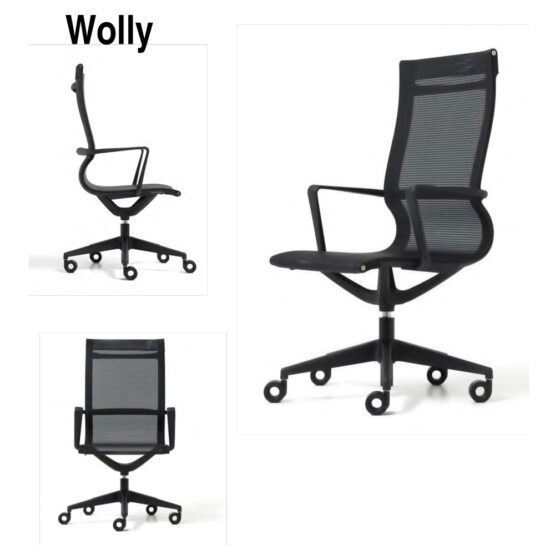 Sedia GPS/WOLLY