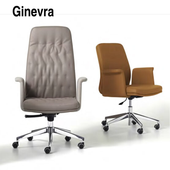 Sedia GPS/GINEVRA